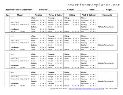 Free Baseball Assessment PDF Form
