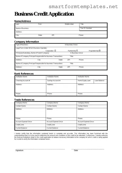 Free Business Credit Application PDF Form