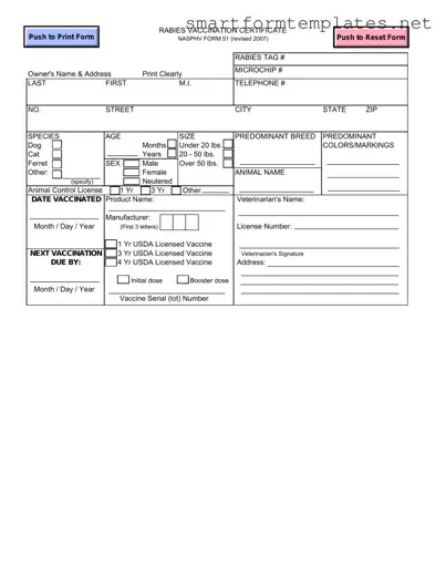 Free Rabies Certificate PDF Form